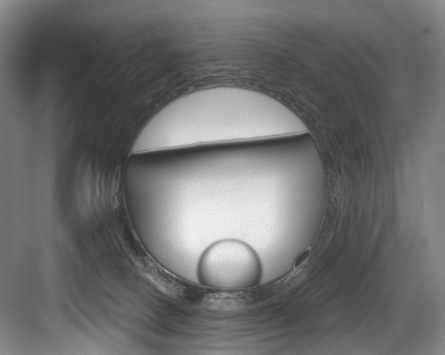 X0000084040082200702160904