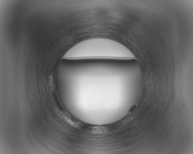 X0000084040087200702160904