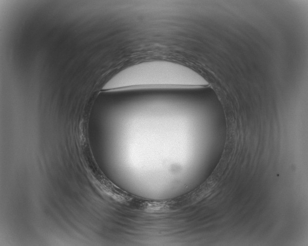X0000084040088200702160904
