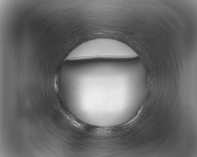 X0000084040094200702160904