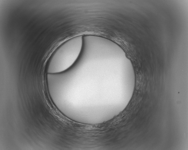 X0000084040098200702160904