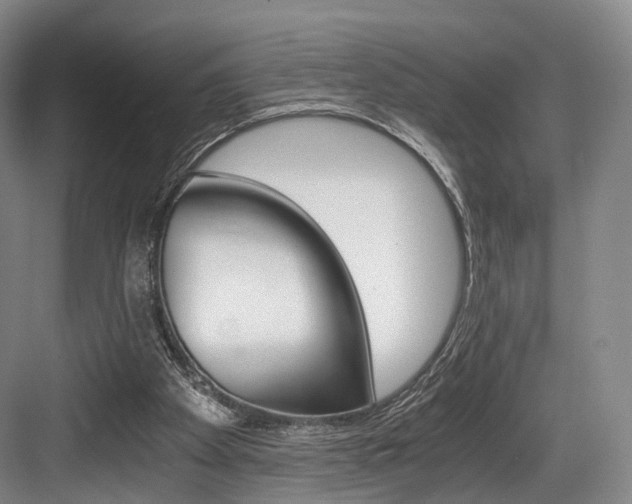 X0000084040105200702160903