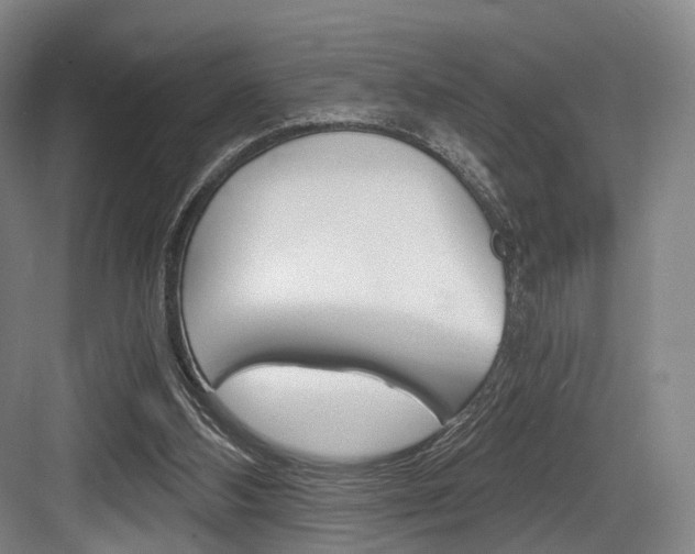 X0000084040108200702160903