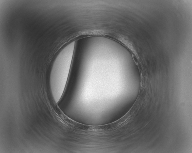 X0000084040109200702160903