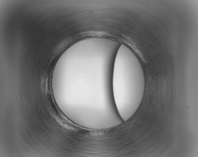 X0000084040110200702160903