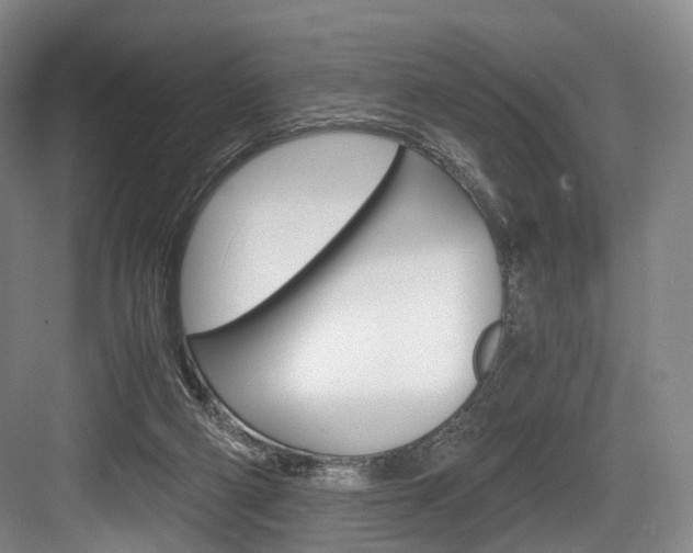 X0000084040114200702160903