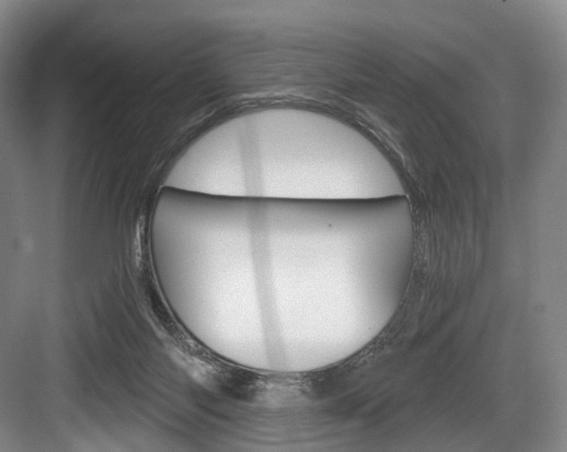 X0000084040118200702160903