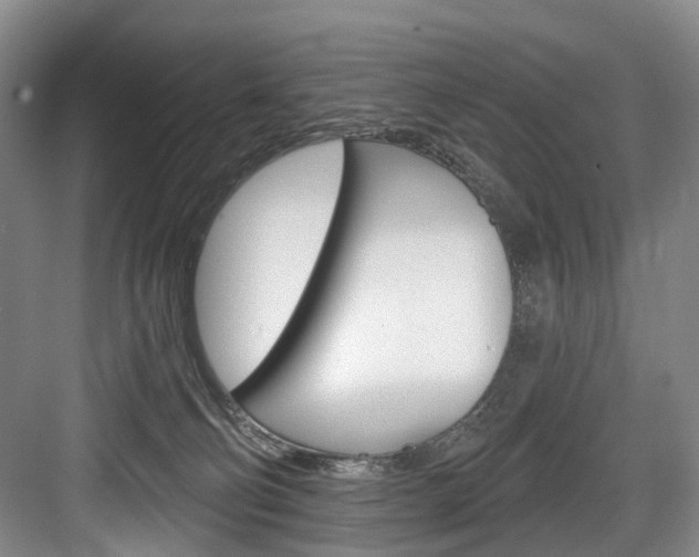 X0000084040130200702160903