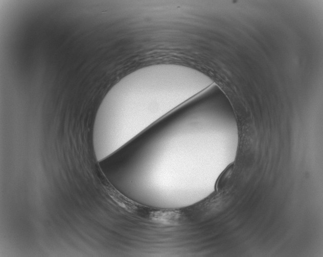 X0000084040135200702160903