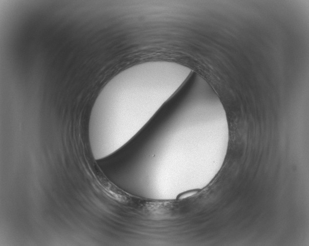 X0000084040136200702160903