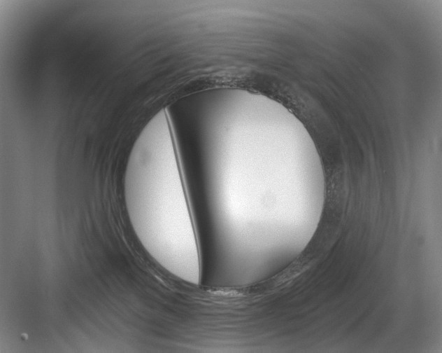 X0000084040137200702160903