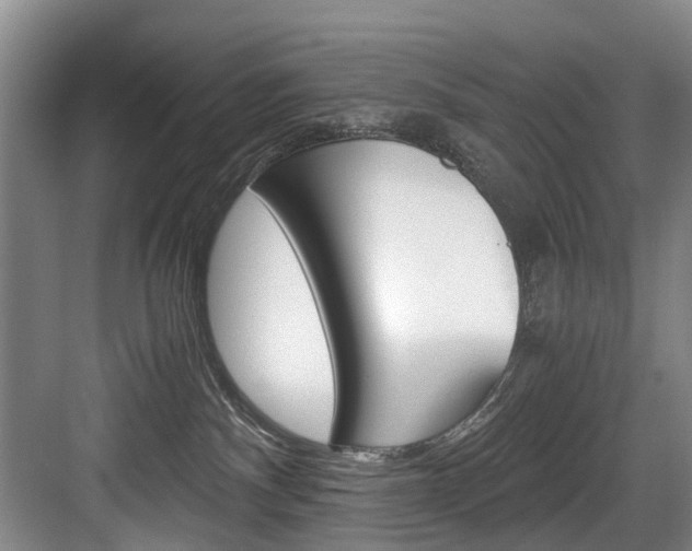 X0000084040140200702160903