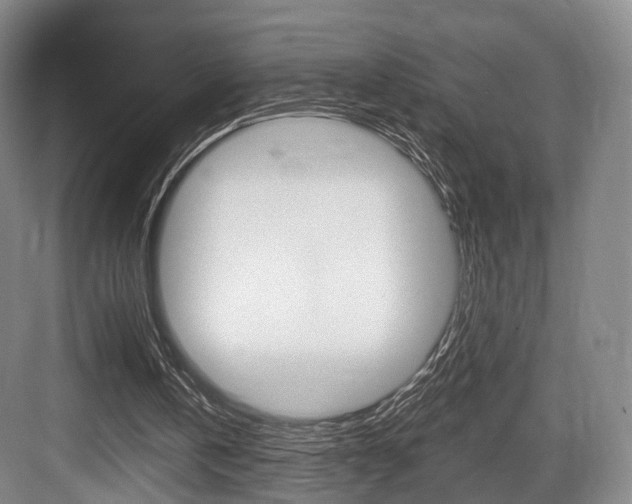 X0000084040146200702160902