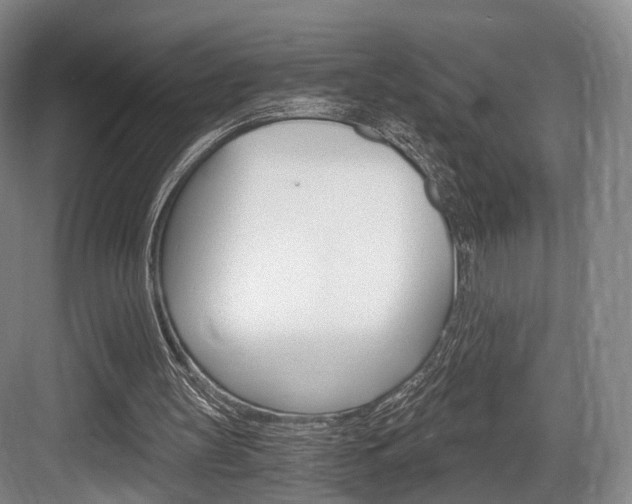 X0000084040147200702160902