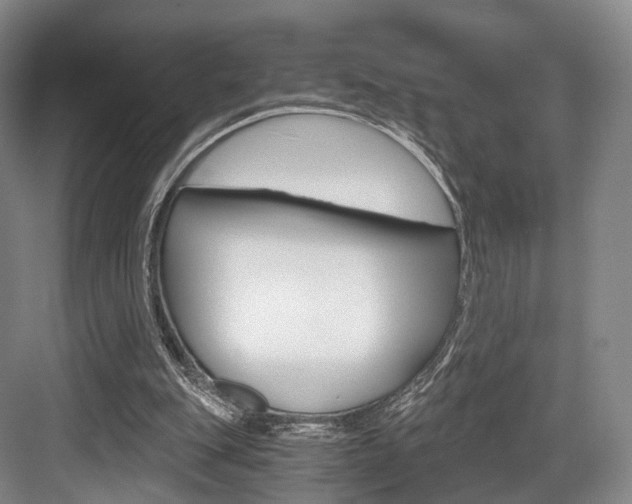 X0000084040151200702160902