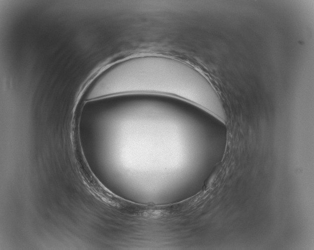 X0000084040152200702160902