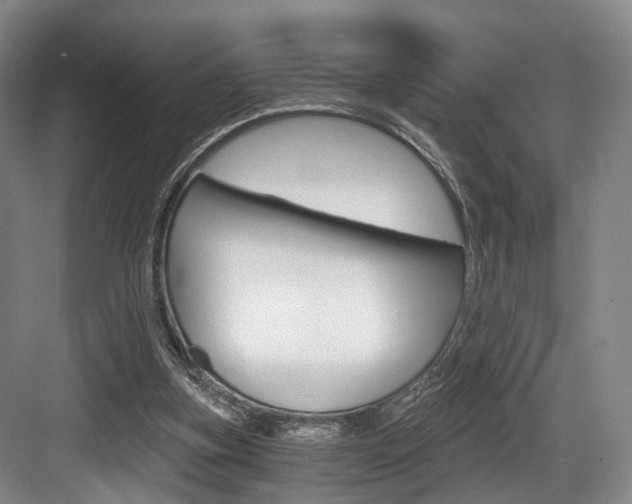 X0000084040155200702160902