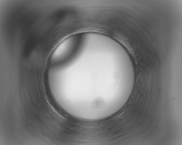 X0000084040156200702160902