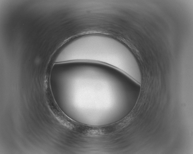 X0000084040160200702160902