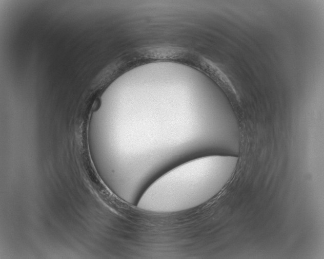 X0000084040163200702160902