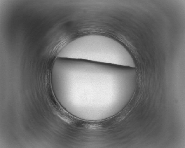 X0000084040165200702160902