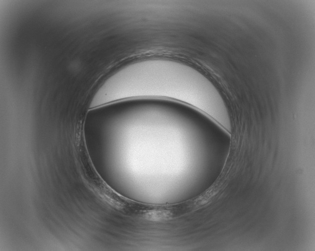 X0000084040168200702160902