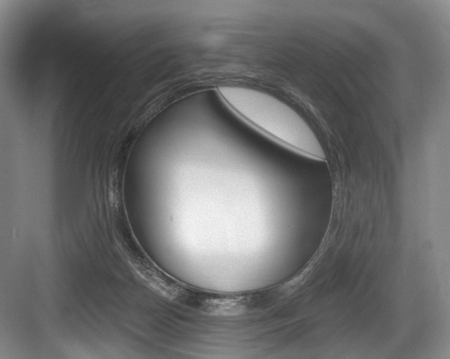 X0000084040170200702160902