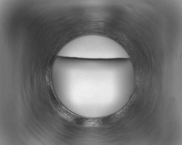 X0000084040175200702160902