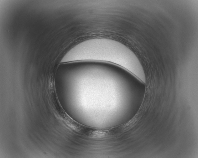 X0000084040176200702160902