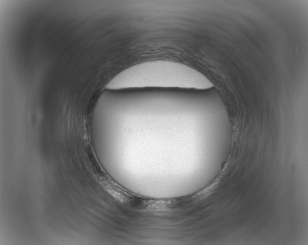 X0000084040182200702160903