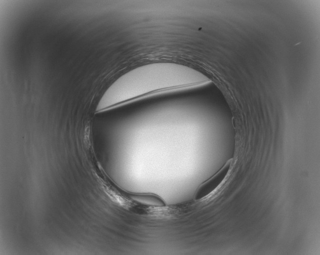 X0000084040192200702160903