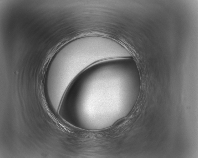X0000084040193200702160902