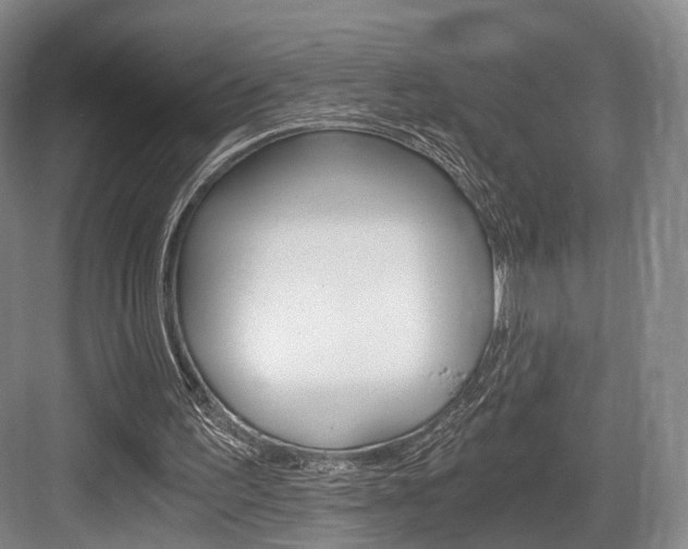 X0000084040195200702160902