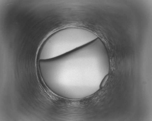 X0000084040196200702160902