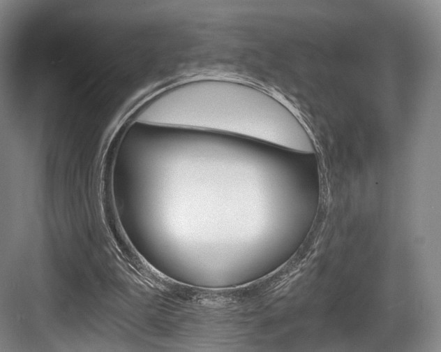 X0000084040199200702160902