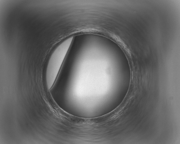 X0000084040201200702160902