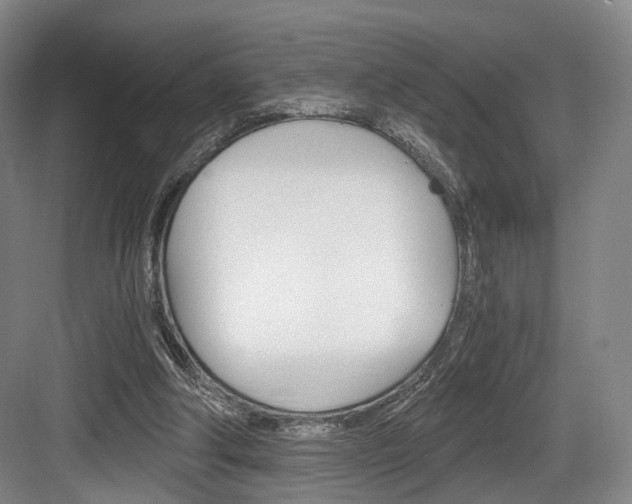 X0000084040202200702160902