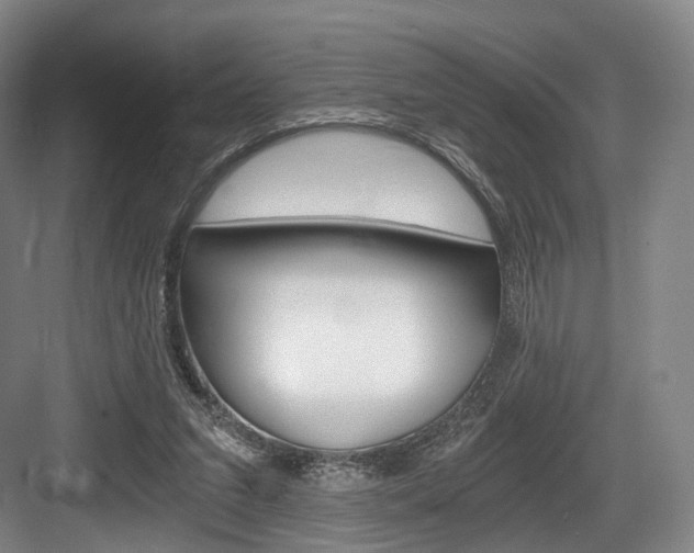 X0000084040207200702160902