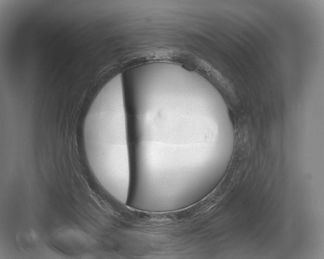 X0000084040209200702160902
