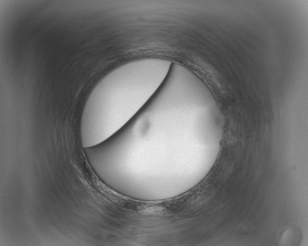X0000084040210200702160902