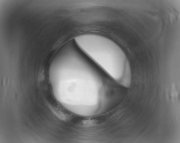 X0000084040216200702160902