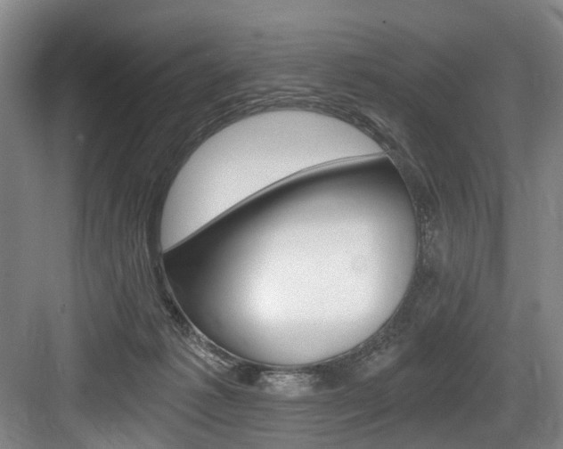 X0000084040221200702160901