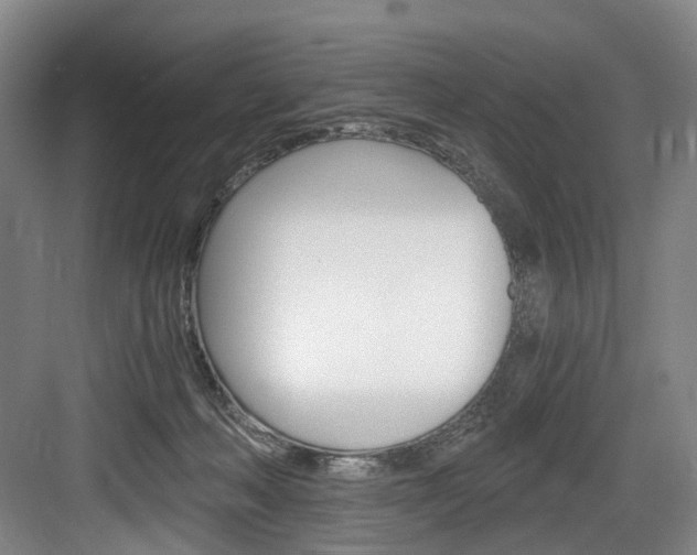 X0000084040222200702160901