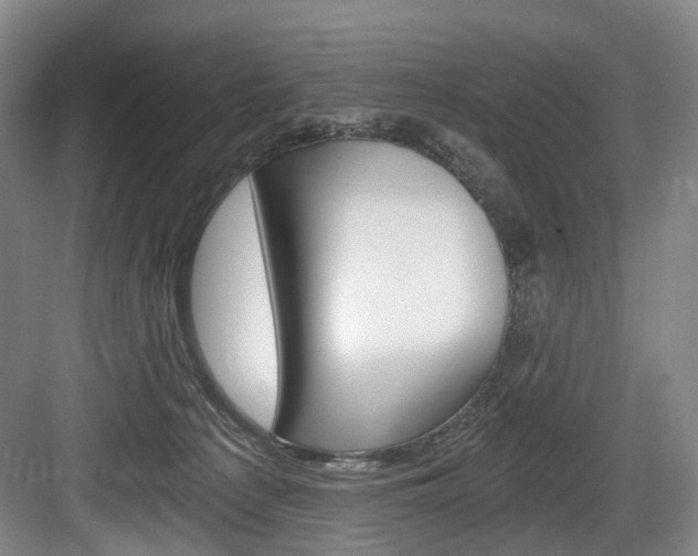 X0000084040225200702160901