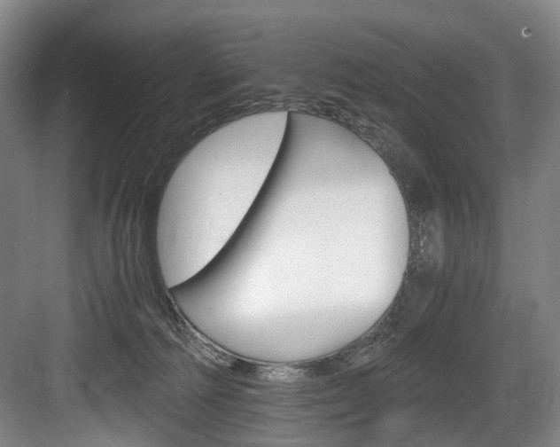 X0000084040226200702160901