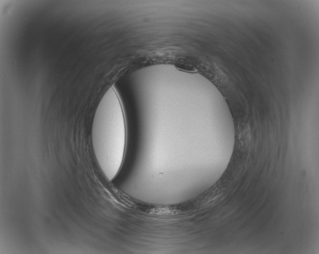 X0000084040231200702160901