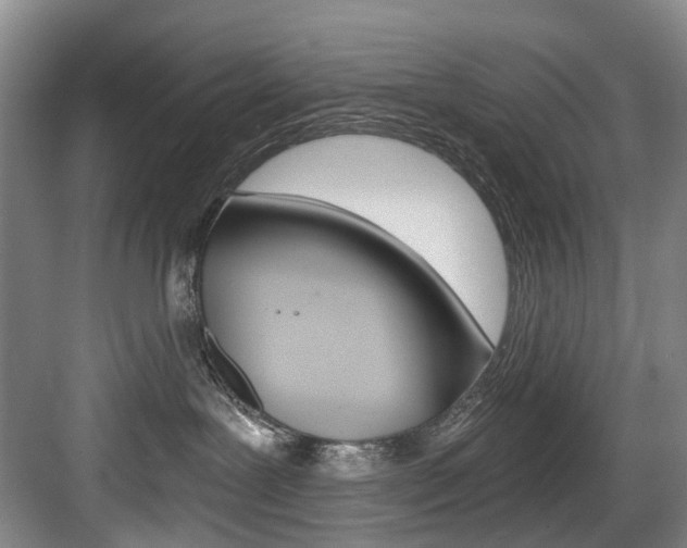 X0000084040239200702160901
