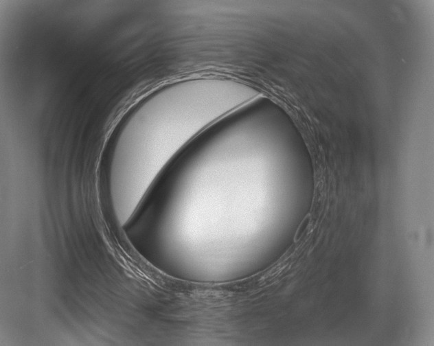 X0000084040242200702160900