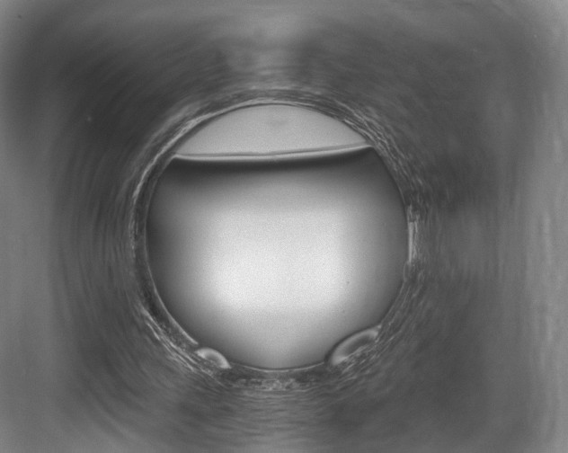 X0000084040243200702160900