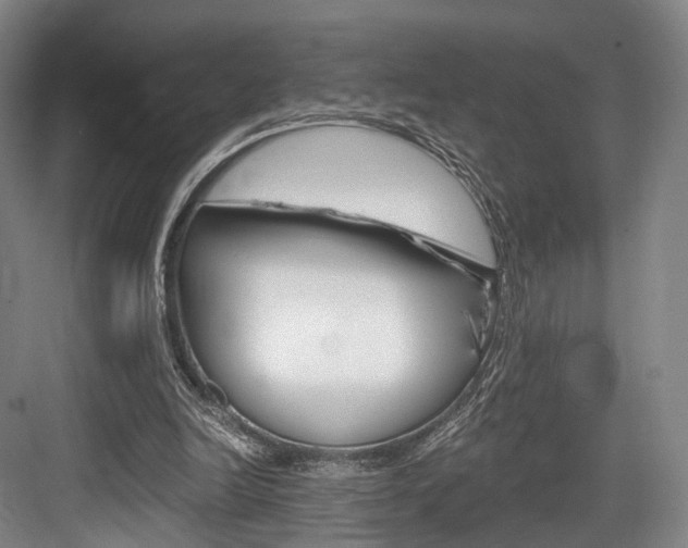 X0000084040246200702160900